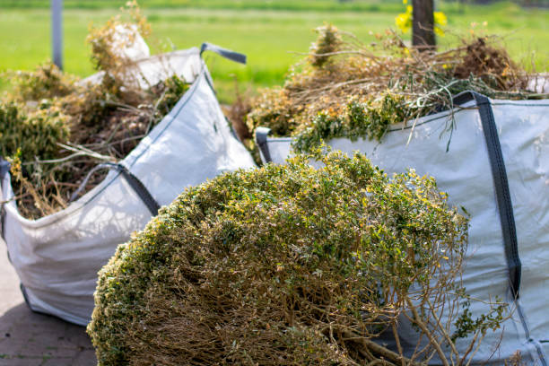 Best Professional Junk Removal  in Annetta, TX